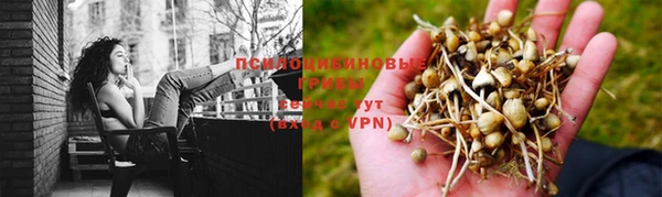 MDMA Корсаков