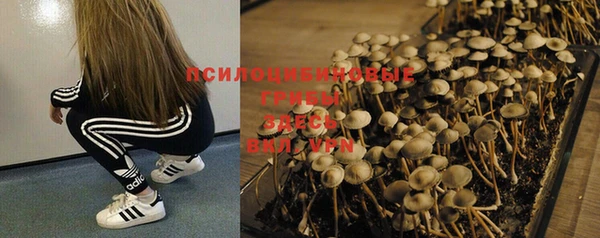 ГАЛЛЮЦИНОГЕННЫЕ ГРИБЫ Абдулино