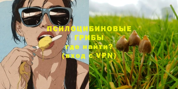ГАЛЛЮЦИНОГЕННЫЕ ГРИБЫ Абдулино